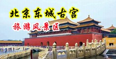 美女黄网白虎中国北京-东城古宫旅游风景区